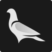 Logo de Assunção Pigeons